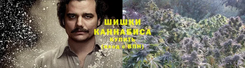 где купить   Ленинск  это наркотические препараты  Каннабис конопля 